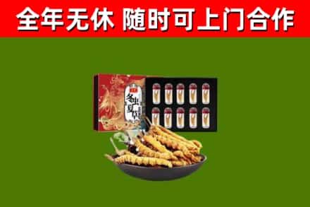 青阳回收冬虫夏草价格