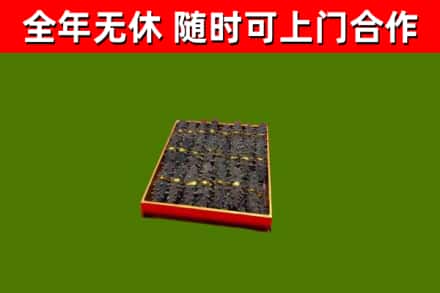 青阳烟酒回收海参.jpg
